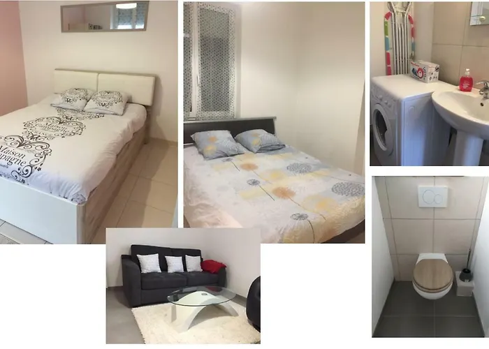 公寓 Centre Historique De 科尔马