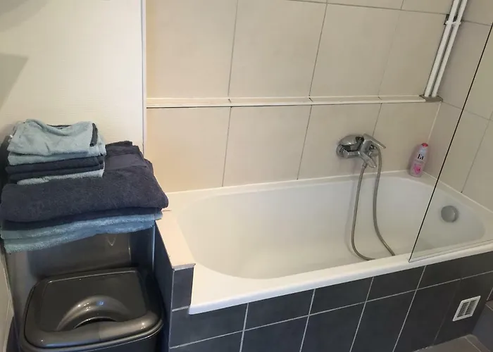 Centre Historique De 公寓 科尔马